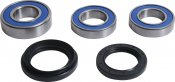 Wheel Bearing Kit All Balls Racing WB25-1814 galinis