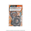 Complete gasket set RMS 100690070